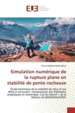 Simulation numérique de la rupture plane en stabilité de pente rocheuse