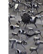 Per Inge Bj?rlo: The Weight of a Lung and the Sound of Crows