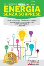 Energia Senza Sorprese: Come Scegliere Il Fornitore Di Energia in Modo Semplice E Consapevole E Risparmiare Soldi Davvero