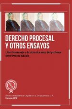 Derecho Procesal Y Otros Ensayos: Libro Homenaje a la Obra Docente del Profesor René Molina Galicia