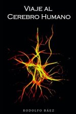 Viaje Al Cerebro Humano