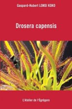 Drosera capensis
