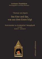 Das Eine und das, was aus dem Einen folgt