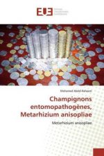 Champignons entomopathog?nes, Metarhizium anisopliae