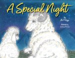 A Special Night