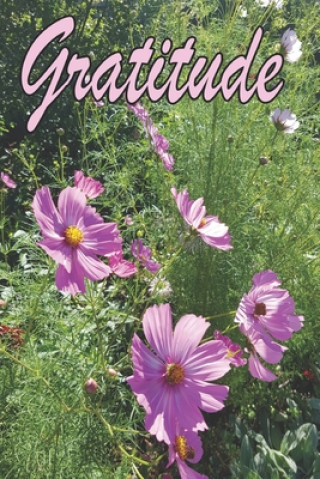 Gratitude