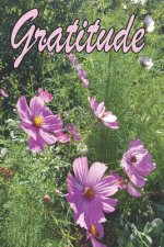 Gratitude