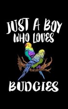 Just A Boy Who Loves Budgies: Animal Nature Collection
