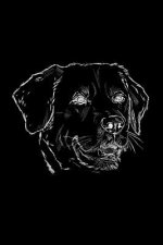 Hundetagebuch: das Erinnerungsbuch für die Zeit von Dir und deinem treuen Vierbeiner, dem besten Freund des Menschen. Dein geliebtes