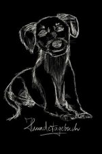 Hundetagebuch: das Erinnerungsbuch für die schönsten Momente von Dir und deinem treuen Vierbeiner, dem besten Freund des Menschen. De