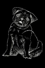 Hundetagebuch: das Erinnerungsbuch für die Zeit von Dir und deinem treuen Vierbeiner, dem besten Freund des Menschen. Dein geliebtes