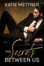 The Secrets Between Us: A Billionaire CEO Romance