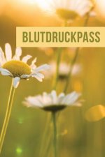 Blutdruckpass: Für die tägliche Aufzeichnung Ihrer Blutdruckwerte