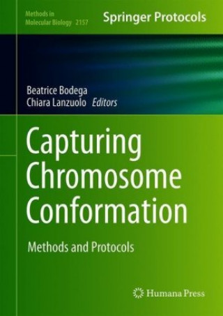 Capturing Chromosome Conformation