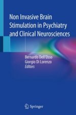 Non Invasive Brain Stimulation in Psychiatry and Clinical Neurosciences