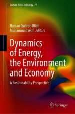Dynamics of Energy, Environment and Economy