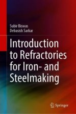 Introduction to Refractories for Iron- and Steelmaking