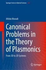 Canonical Problems in the Theory of Plasmonics