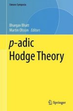 P-Adic Hodge Theory