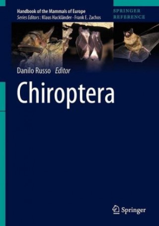 Chiroptera