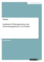 Qualitative Wirkungsanalyse der Verwendungsmotive von Netflix