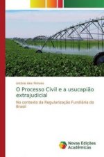 O Processo Civil e a usucapiao extrajudicial