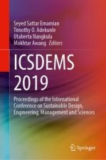 ICSDEMS 2019