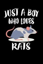 Just A Boy Who Loves Rats: Animal Nature Collection
