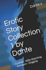 Erotic Story Collection 1 by Dante