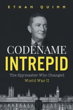 Codename Intrepid