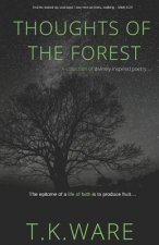 Thoughts of the Forest
