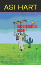 Decomposing angel