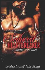 Seduced By a Heartbreaker: A Miami Scandal