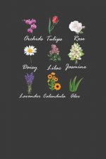 Orchids Tulips Rose Daisy Lilac Jasmine Lavender Calendula Aloe: Vintage Botanical Flowers Gardener Gift