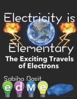 Electricity is Elementary: The exciting flow of electrons