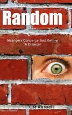 Random: Strangers Converge Just Before A Disaster