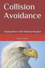Collision Avoidance: Staying Alive in the National Airspace