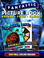 Fantastic Picture Book: Animal - Food - Various: Picture Book Gift for Adults & Seniors as well as Patients with Alzheimer's or Dementia. Deme