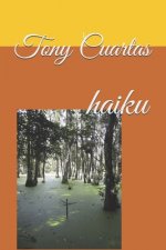Haiku