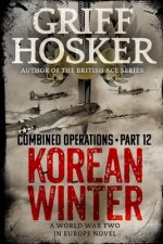 Korean Winter