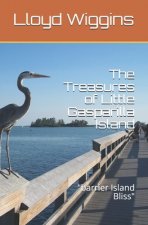 The Treasures of Little Gasparilla Island Revisited: 