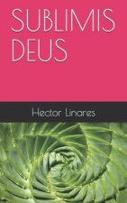 Sublimis Deus