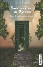 Sous les cieux de Syranis Tome 2 La Déesse en sommeil