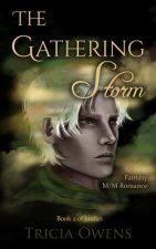 The Gathering Storm: Fantasy M/M Romance