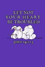 Let not your heart be troubled John 14: 1-3