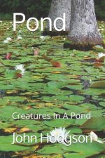 Pond: Creatures In a Pond
