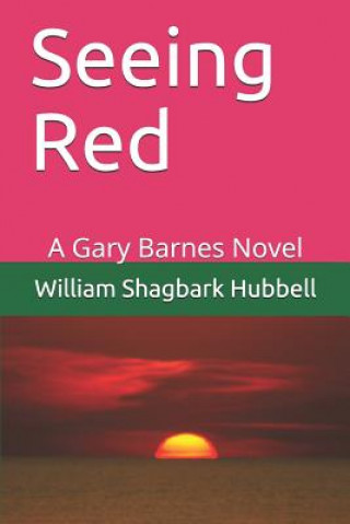 Seeing Red: A Gary Barnes Novel