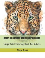 Color By Number Adult Coloring Book: Large Print Coloring Book For Adults