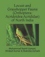 Locust and Grasshopper Fauna (Orthoptera: Acridoidea: Acrididae) of North India
