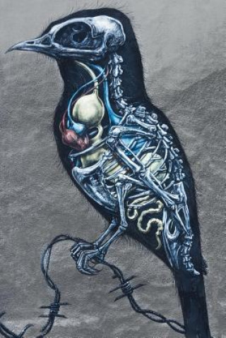 Raven Touch